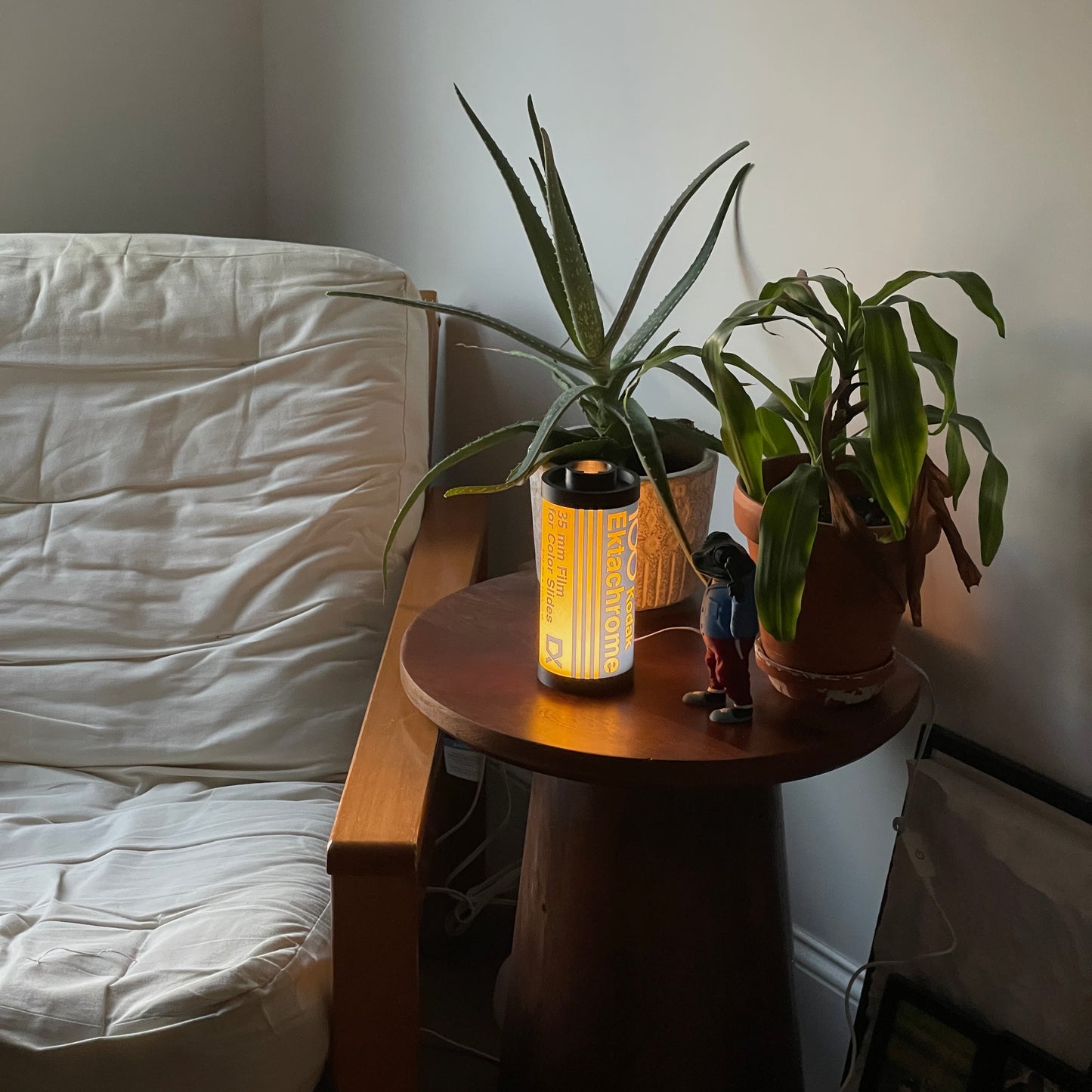 Kodak Ektachrome 100 Film Lamp