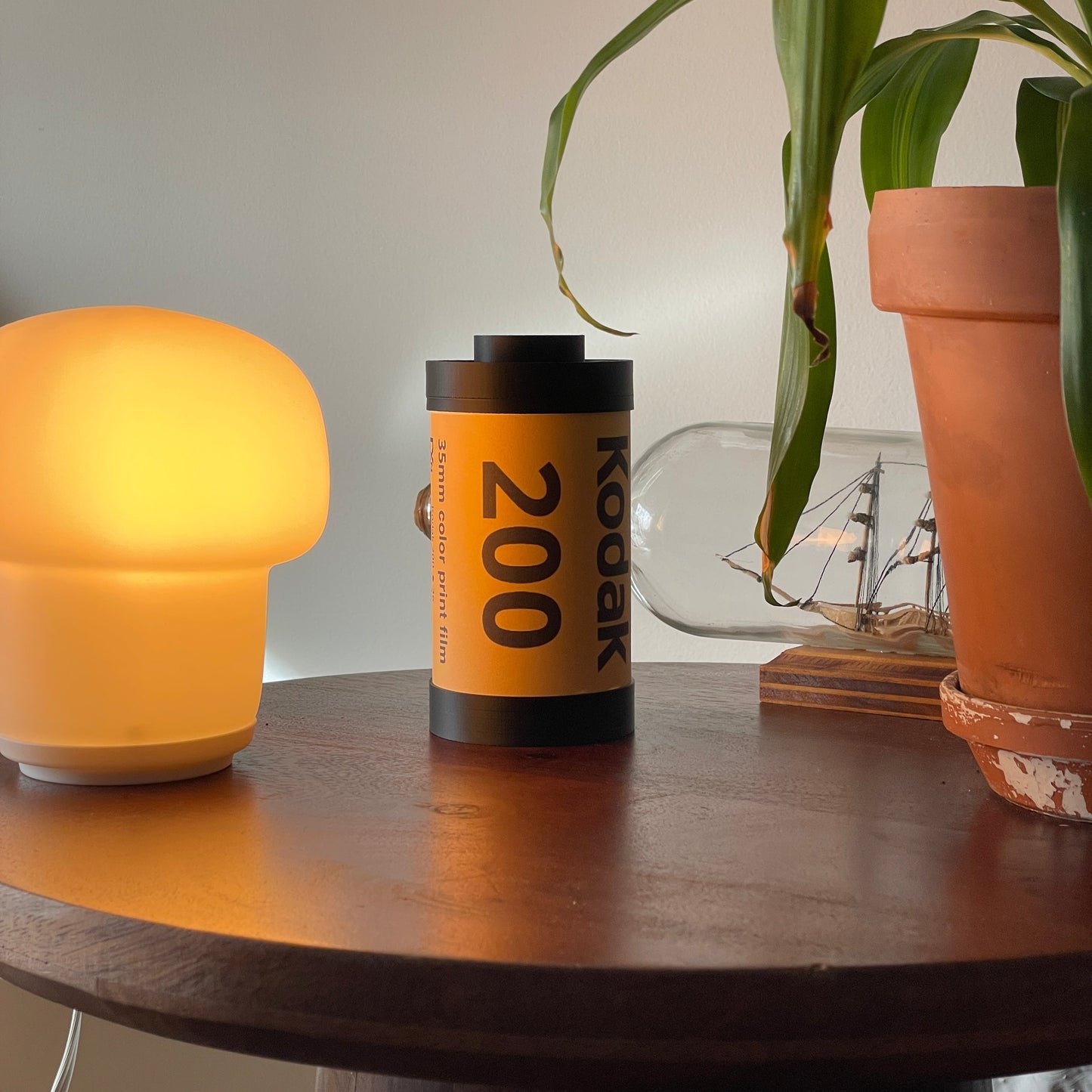 Kodak 200 Film Stash