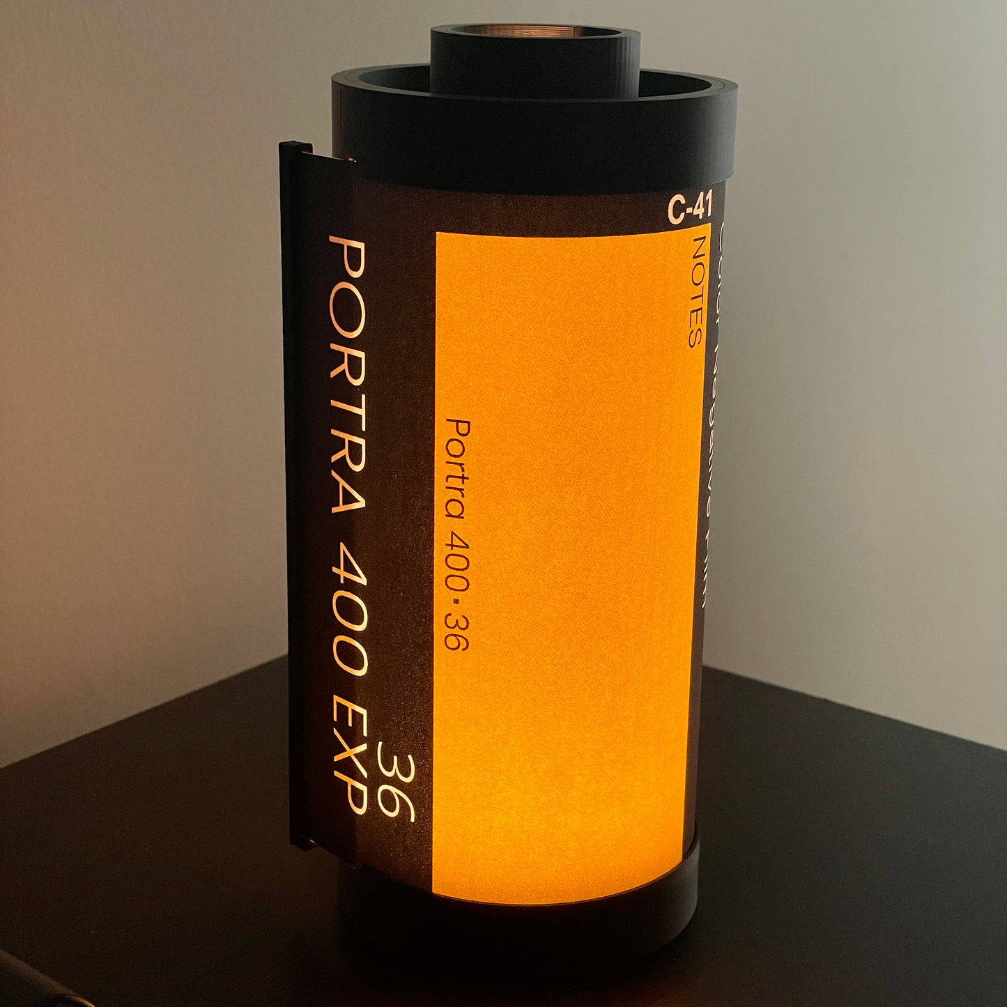 Kodak Portra 400 Film Lamp
