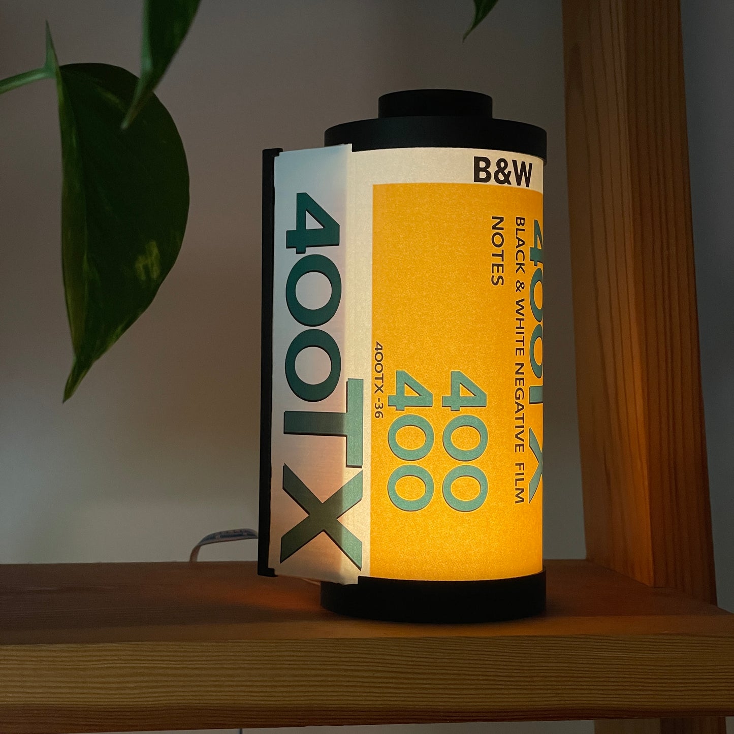 Kodak Tri-X 400 Film Lamp