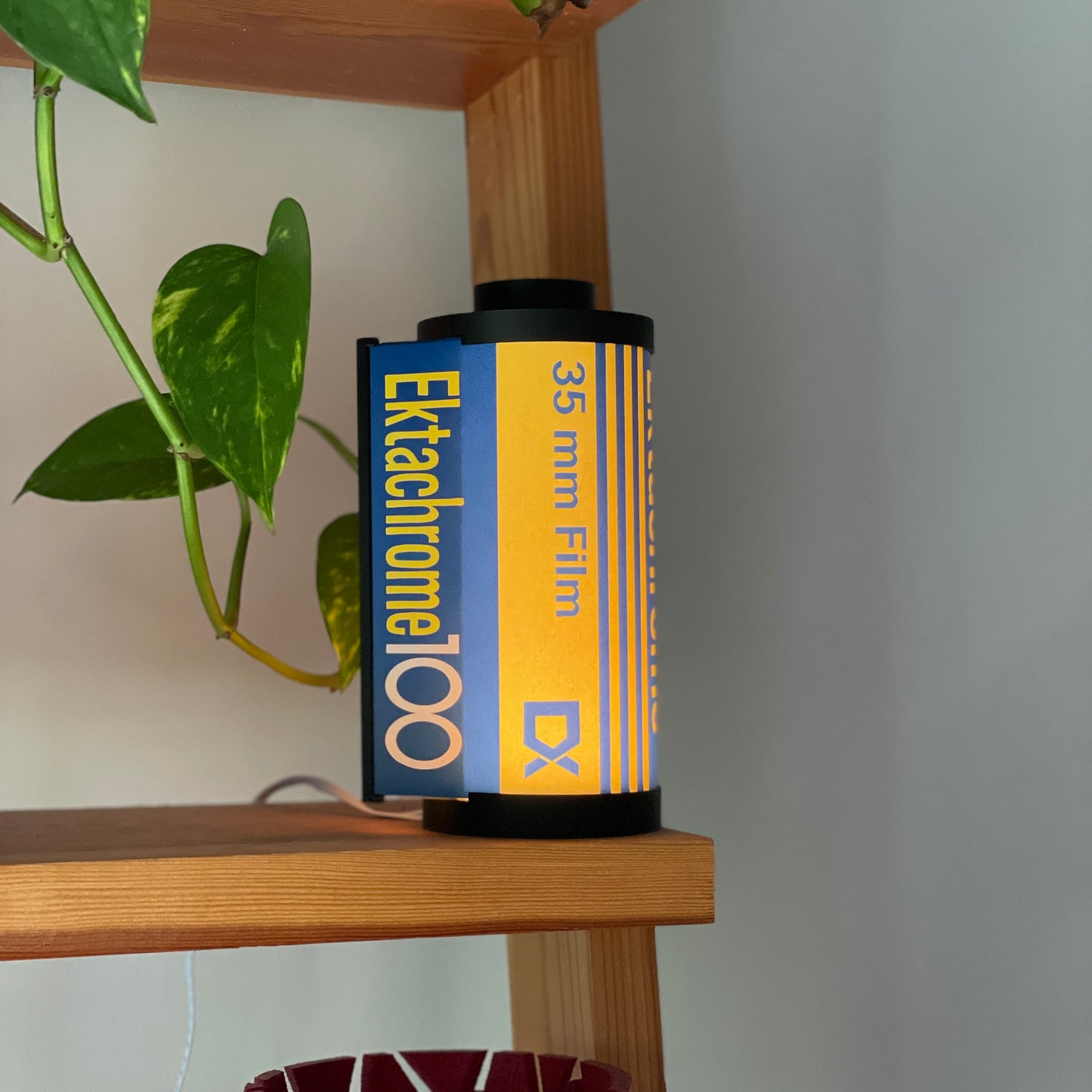 Kodak Ektachrome 100 Film Lamp