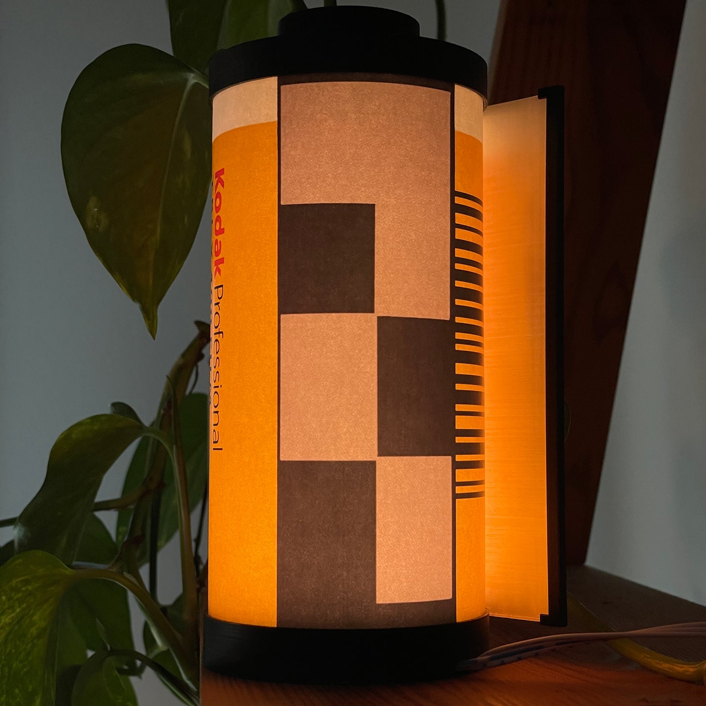 Kodak Tri-X 400 Film Lamp