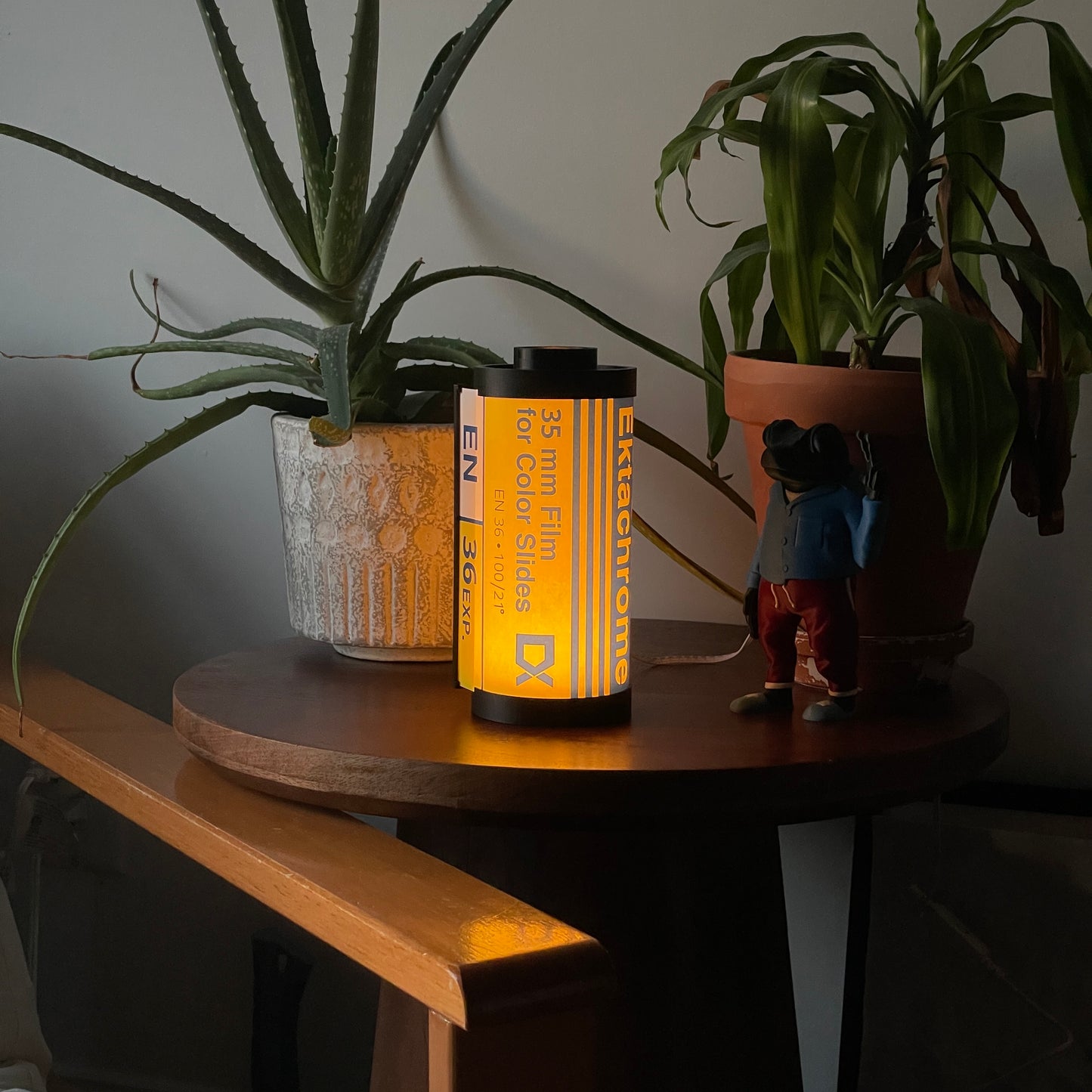 Kodak Ektachrome 100 Film Lamp