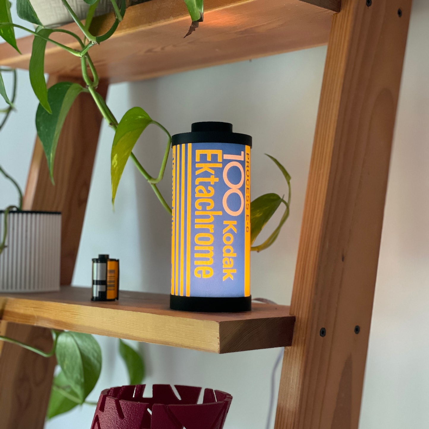 Kodak Ektachrome 100 Film Lamp