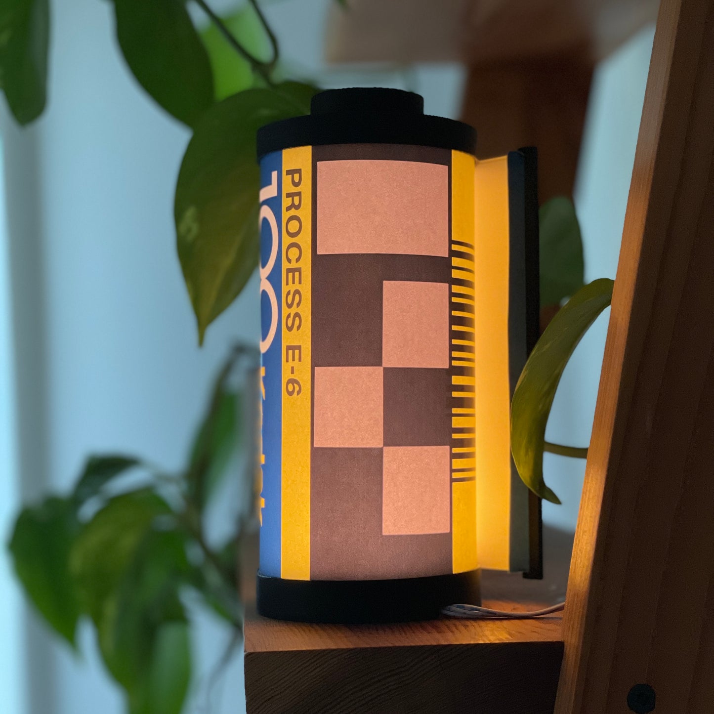 Kodak Ektachrome 100 Film Lamp