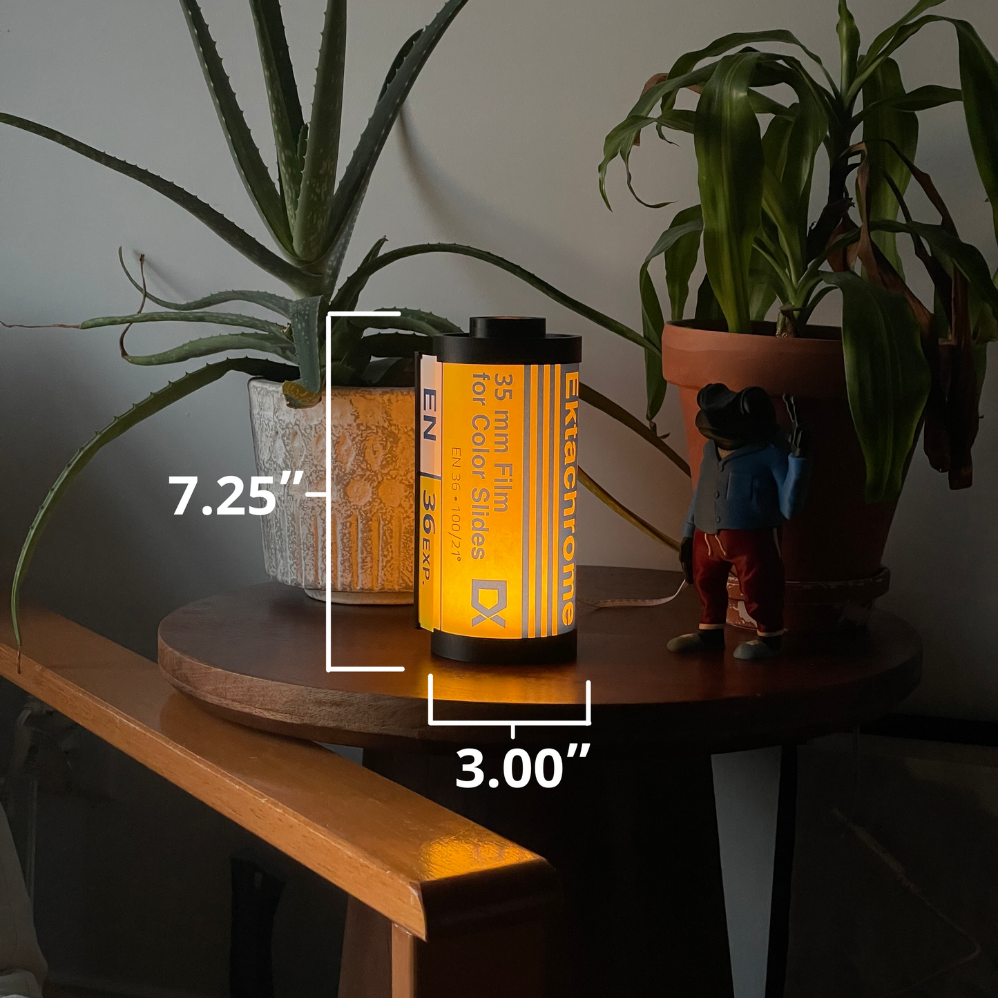 Kodak Ektachrome 100 Film Lamp