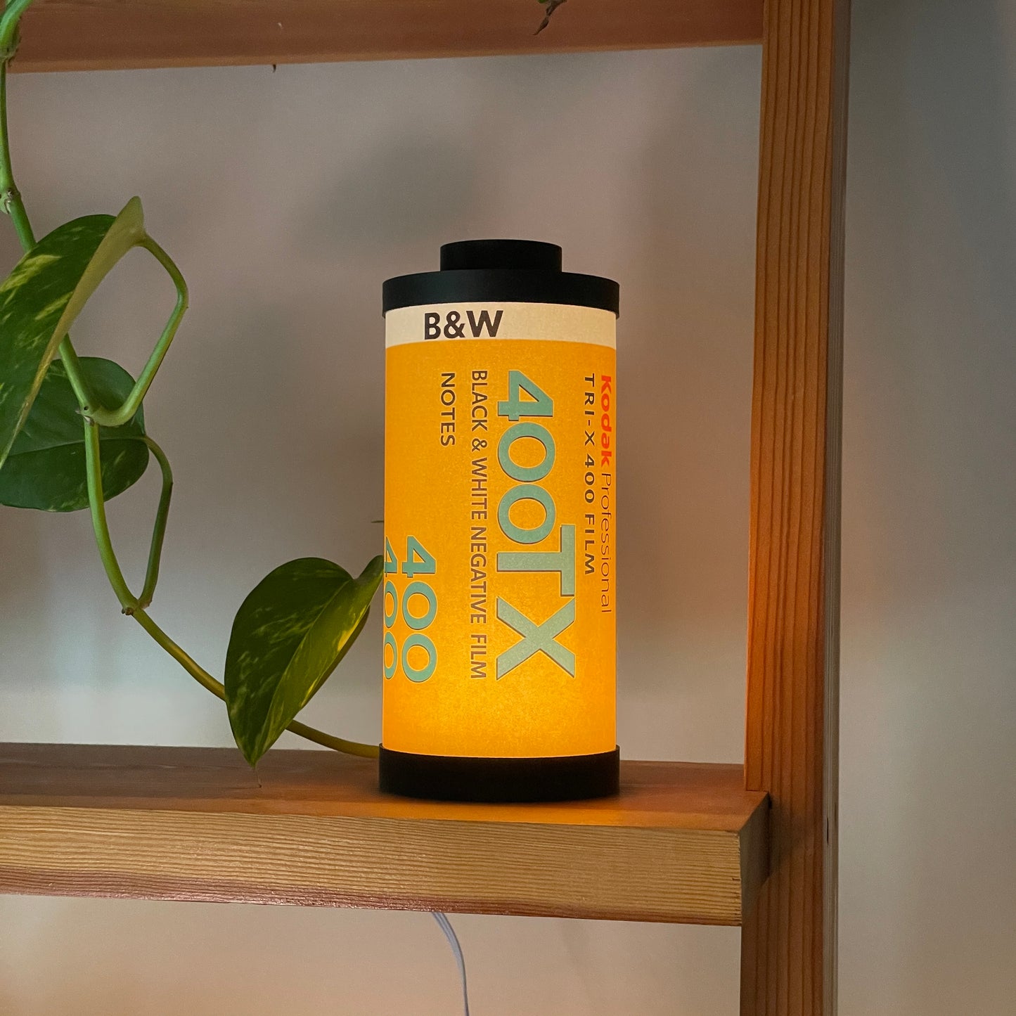 Kodak Tri-X 400 Film Lamp