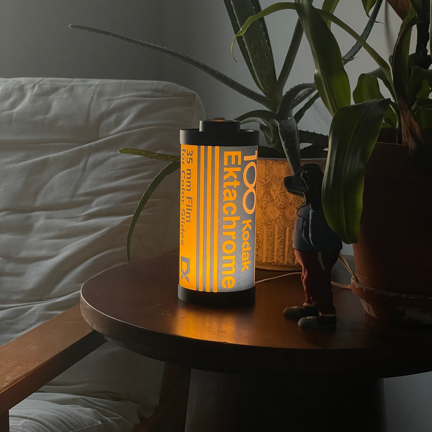 Kodak Ektachrome 100 Film Lamp